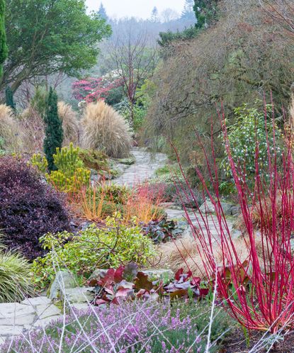 Iona McLaren: On the secrets of Bodnant Garden in Wales | Homes & Gardens