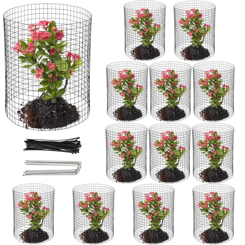 Hacaroa 13 Pack Wire Plant Protectors From Small Animals, 12"x12" Square Mesh Plant Protection Cage Chicken Wire Cloche With 40 Ground Stakes and 120 Nylon Ties for Flowers, Shrubs, Dark Green
