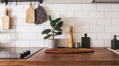 Modern kitchen with white backsplash and wooden countertop dressed with houseplant and kitchenware