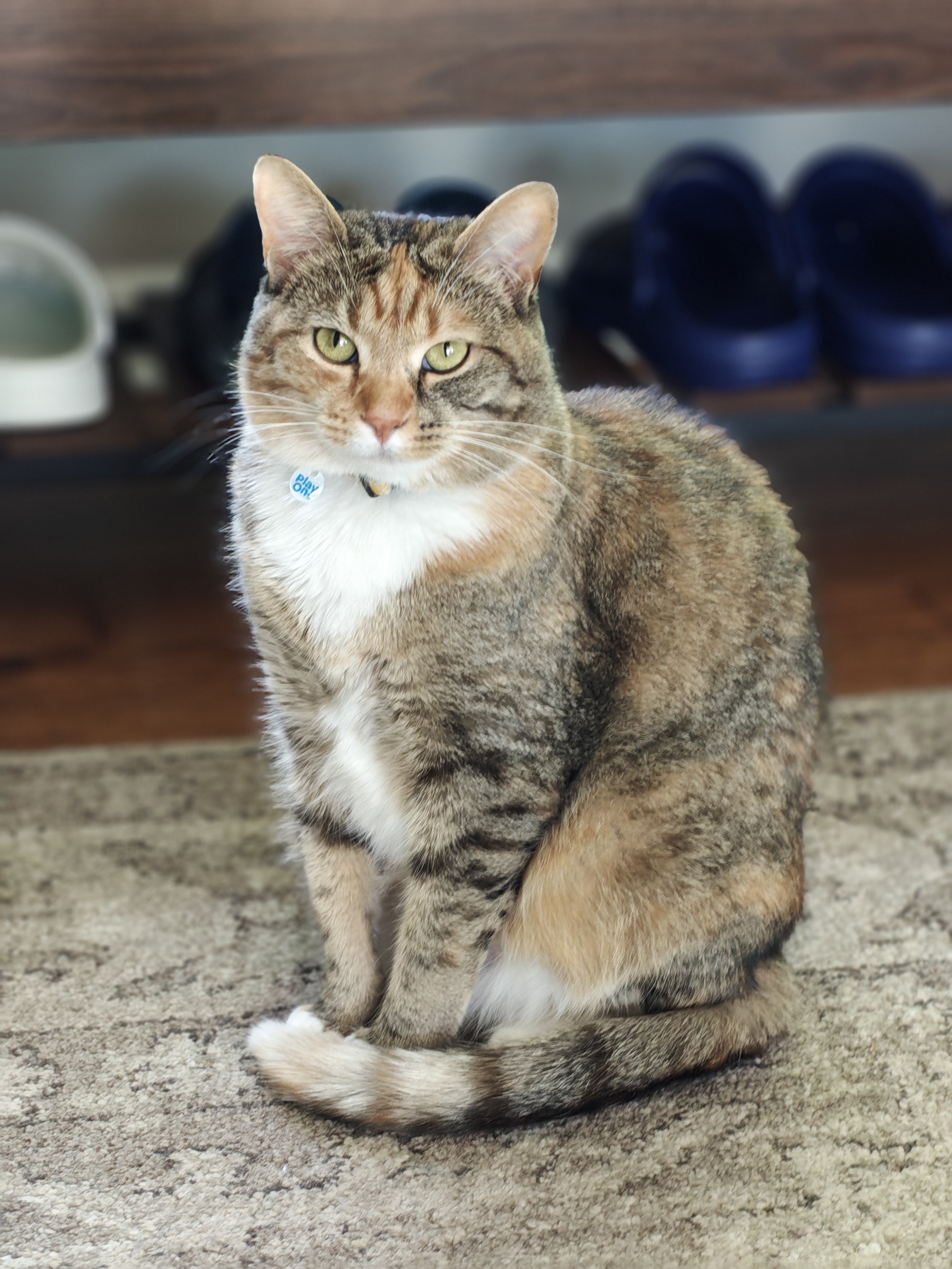 Camera samples from the Nothing Phone 4a Pro