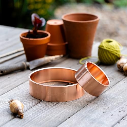 Slug Rings&amp;trade; Copper Slug and Snail Repellent Rings Starter Mixed Size Pack - 3 X 10cm and 3 X 17cm