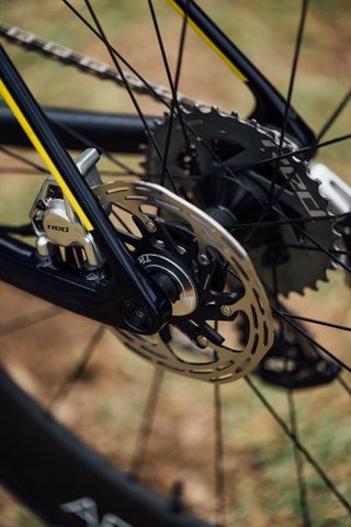 The rear caliper and disc brake of the Lidl-Trek bike