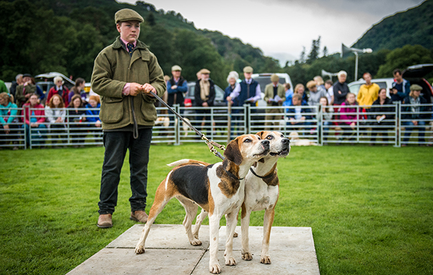 High Peak Arrow & Argue claim victory in the best couple of harriers class
