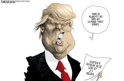 Political cartoon U.S. Donald Trump loses popular vote