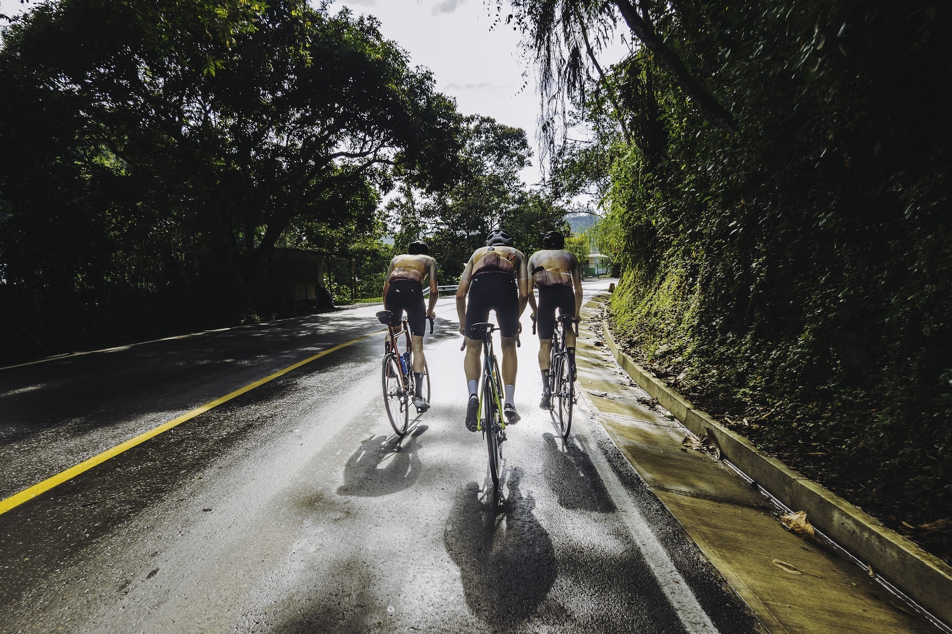 Three riders on a damp road, in matching greenish kit, ascending the Alto del Sifon. The road is tree-lined and partly in shadow