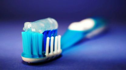 A close-up of toothpaste on a blue toothbrush
