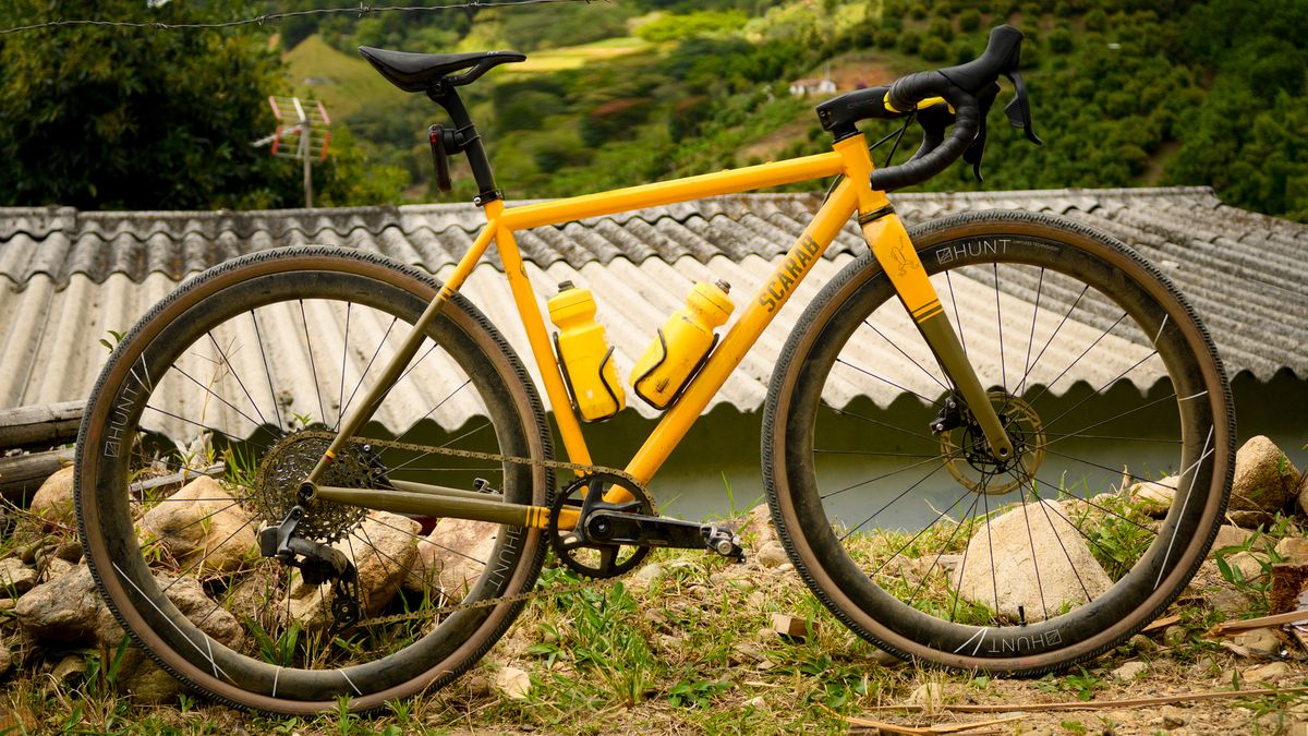 Scarab custom steel bike