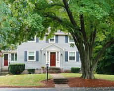 Large tree growing in front yard of house