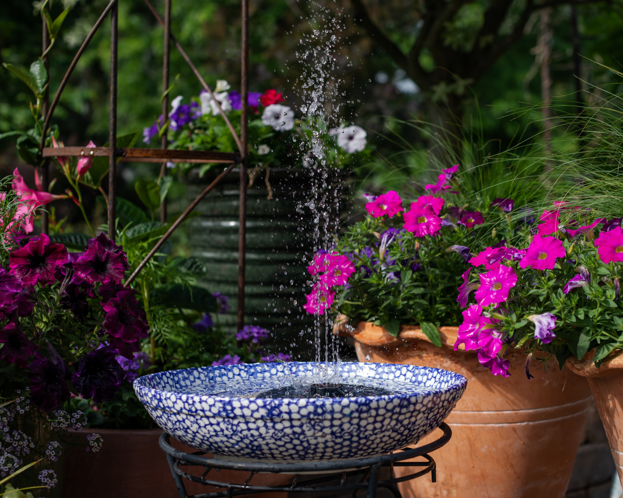 Beautiful patio with a terra cotta flower pots packed with flowers and a blue and white large pasta bowl filled with water and a solar pump