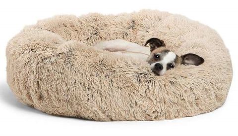 The Best Dog Bed In 2024: 8 Top Dog Mattresses | Tom's Guide