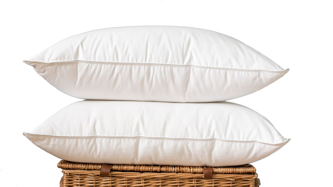 Best pillow 2023 get down with the comfiest pillows around T3