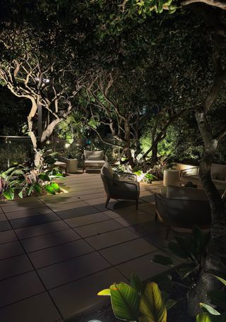 up-lighted trees around a patio