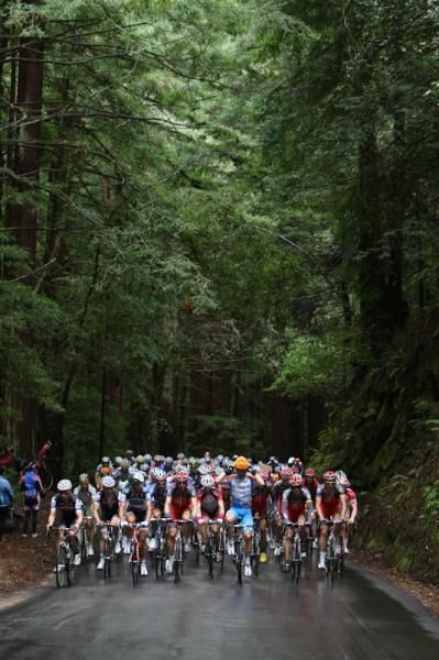The day wasn't completely devoid of moisture as the peloton passed through a fir forest en route to Santa Cruz.