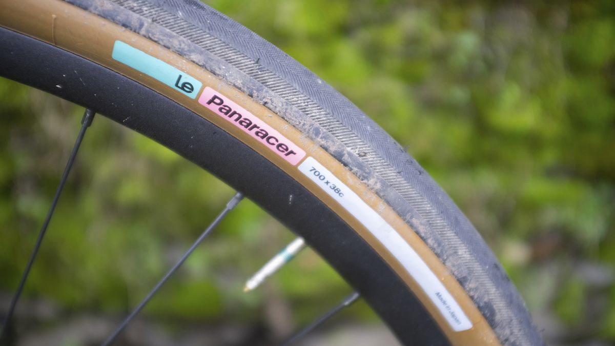 LeMond Prolog review