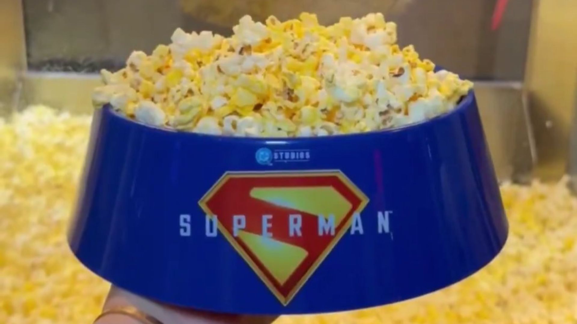 A Superman popcorn bucket shaped as Krypto's dog bowl