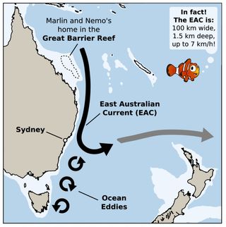 The East Australian Current – more a ribbon than a tube.