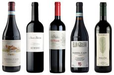 Barbera wines