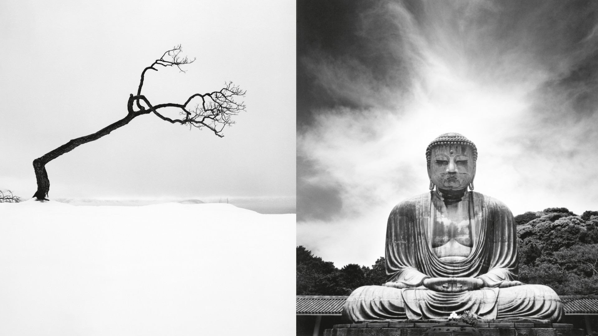 Left: A solitary, crooked tree with sparse branches leans sharply over a pristine, white snow-covered bank. Right: A large bronze Buddha statue sits in serene meditation against a dramatic, swirling sky filled with white clouds