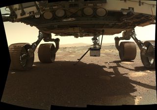 Ingenuity extends vertically from the belly of the Perseverance rover on March 29, 2021, in this image taken by the WATSON camera on the SHERLOC instrument, located at the end of the rover's robotic arm.
