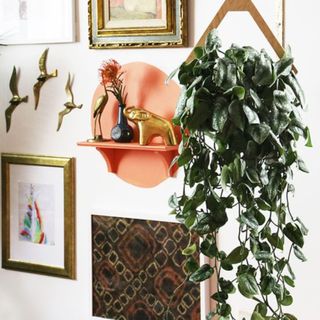 Hanging houseplant