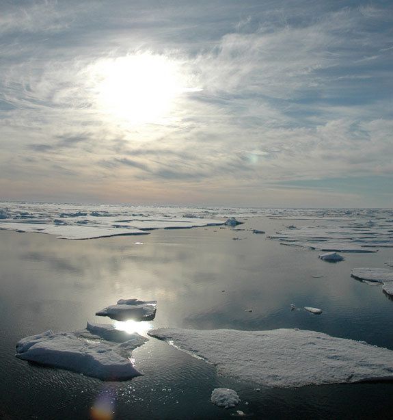 arctic sea ice