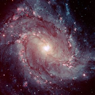 The Pinwheel galaxy, also called Messier-83.