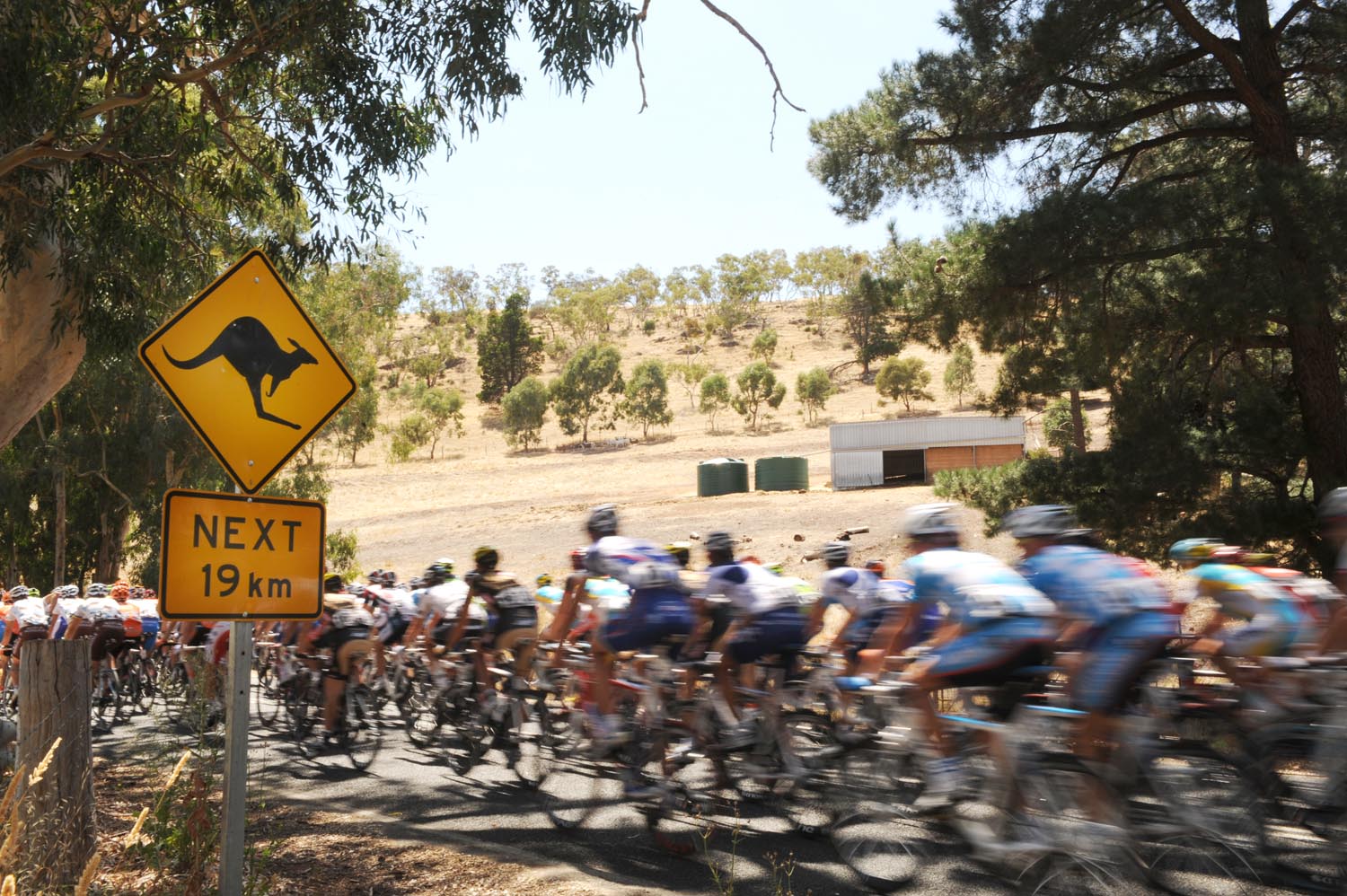 2010 tour down under, tdu, santos, andre greipel, lance armstrong, greg henderson, htc columbia, team sky, radioshack
