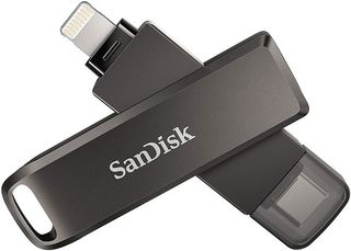 Sandisk Flash Drives