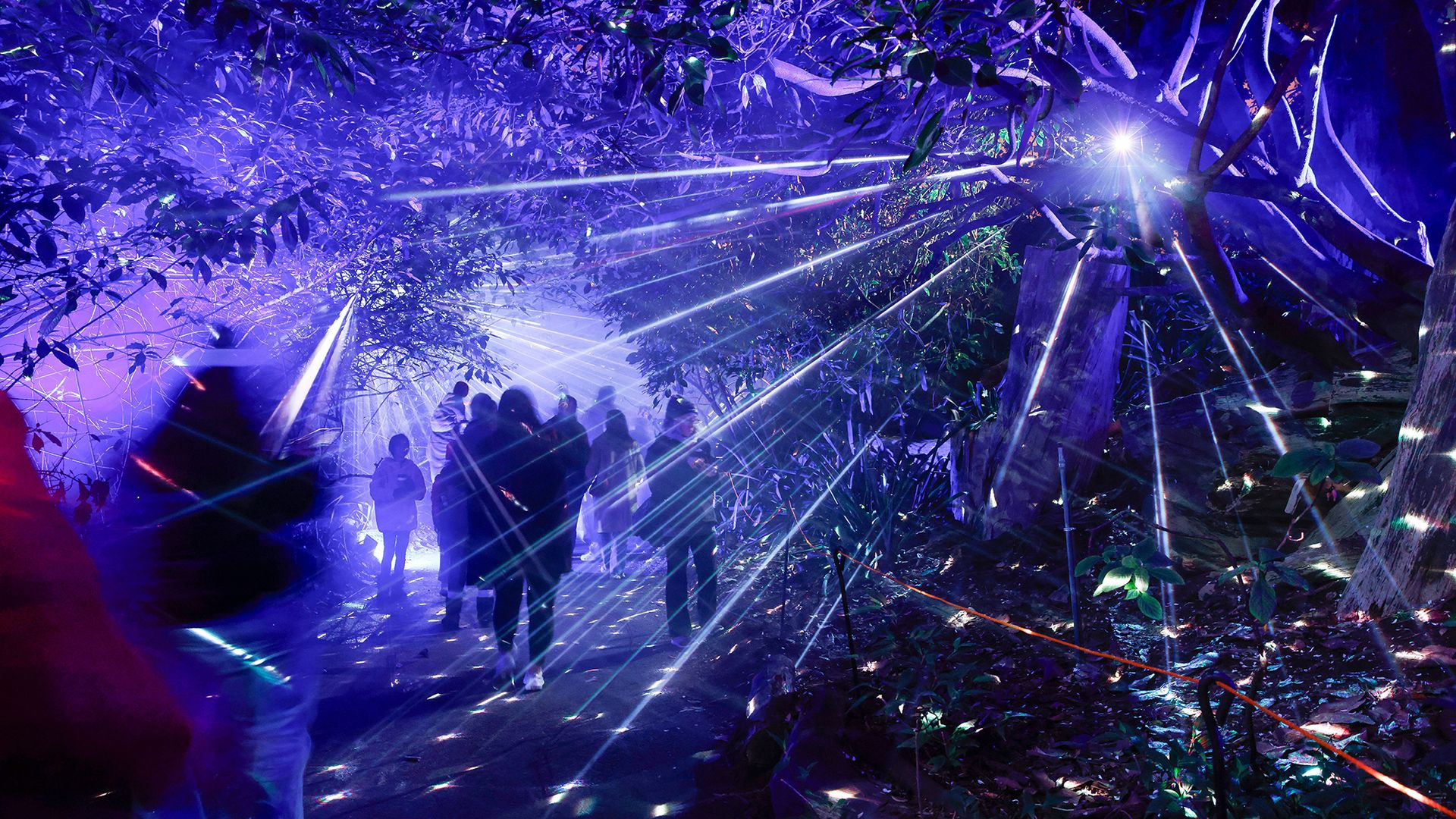 
                                People walk through a winter light installation at Golden Gate Park in San Francisco, United States
                            
