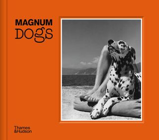 Magnum Dogs book cover with picture of Dalmatian sitting at owners feet on the beach.