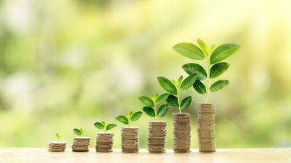 Growing plants get taller on stacks of coins that also get taller.