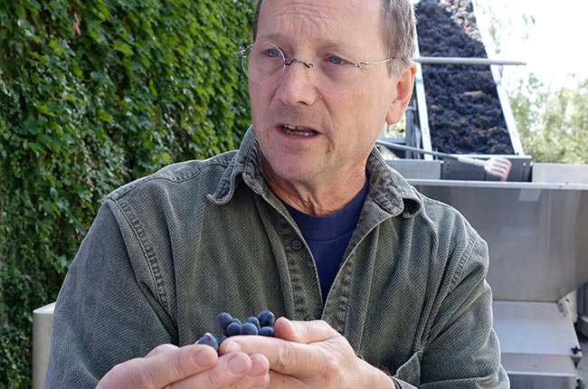 chris howell, cain, spring mountain grapes