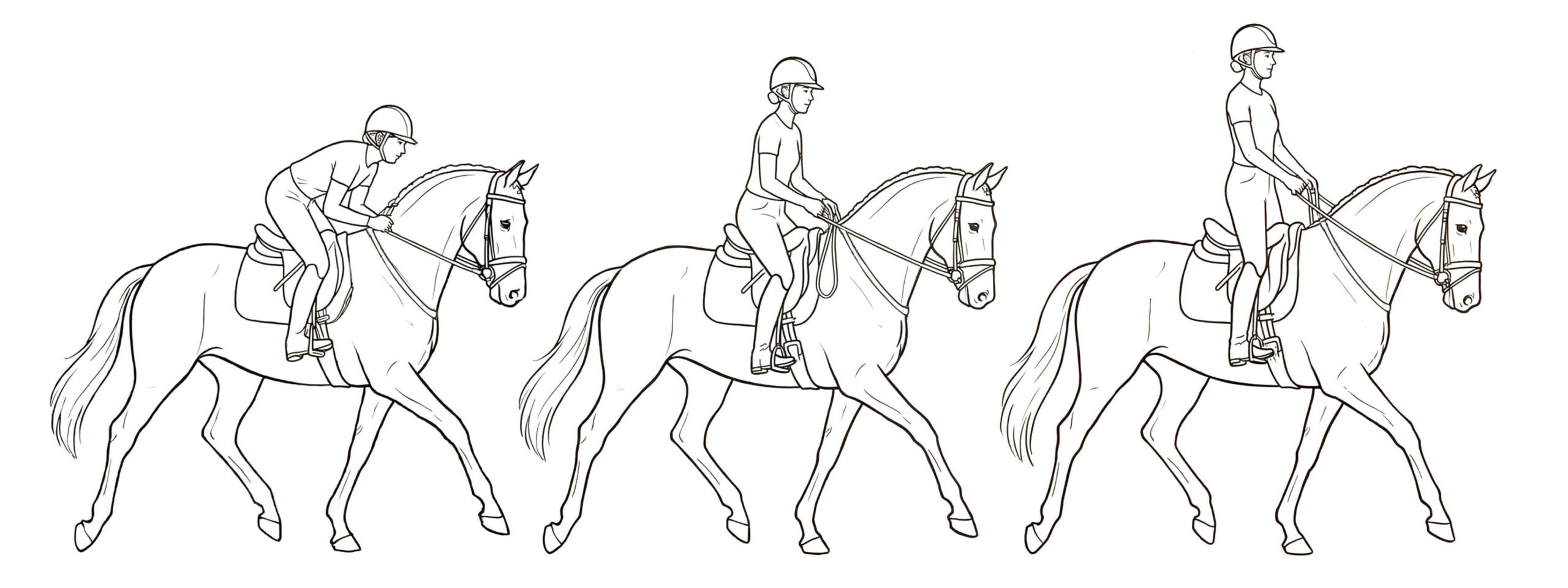 Diagram showing 3 different riding positions on horses
