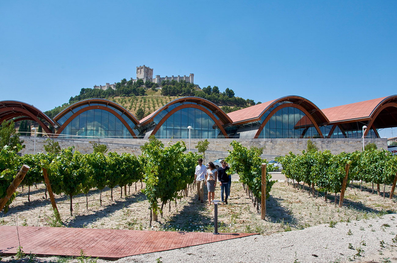 The Protos winery with rows of vines in the foreground and a castle in the background