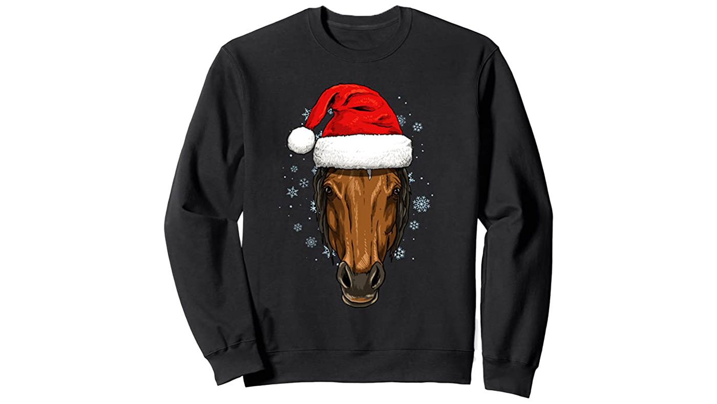 Horse in a Santa hat jumper horse Christmas jumpers