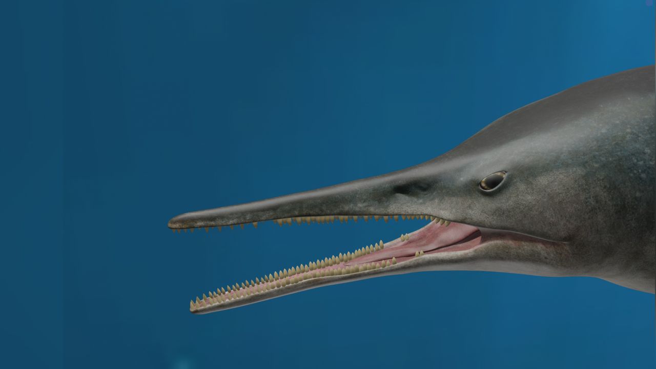 This life reconstruction of Kyhytysuka sachicarum from the early Cretaceous of Colombia shows the swordfish-like reptile.