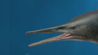 This life reconstruction of Kyhytysuka sachicarum from the early Cretaceous of Colombia shows the swordfish-like reptile.