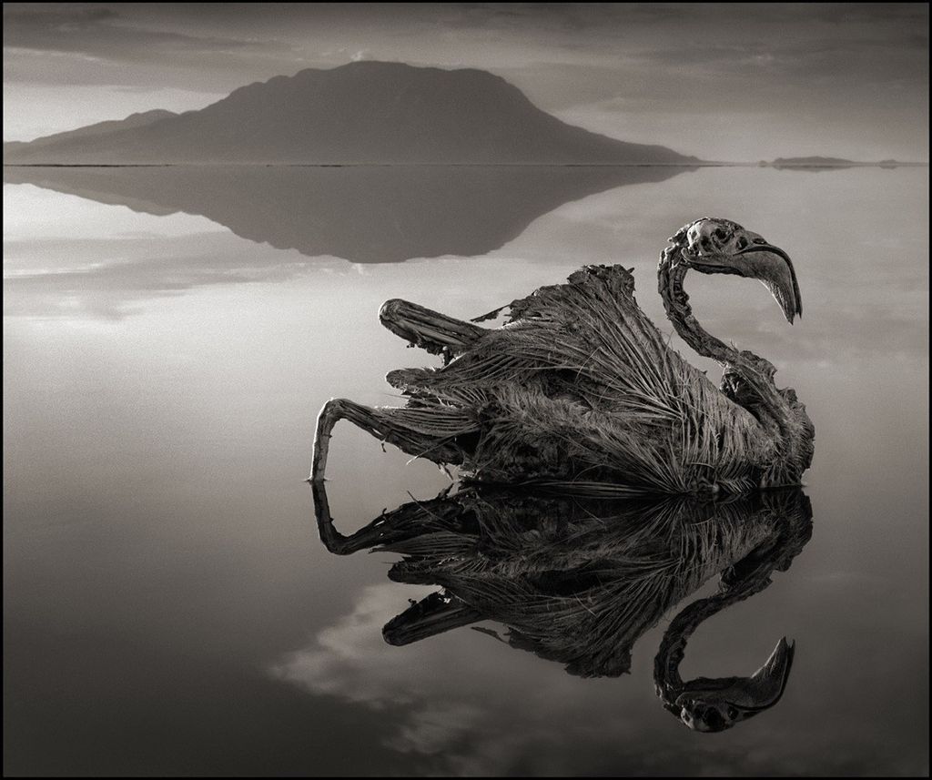 lake natron human deaths