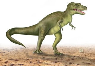 t. rex fleshed-out reconstruction