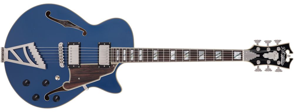 D'Angelico Deluxe SS LE