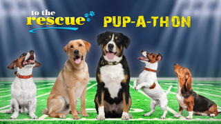 Pup-A-Thon