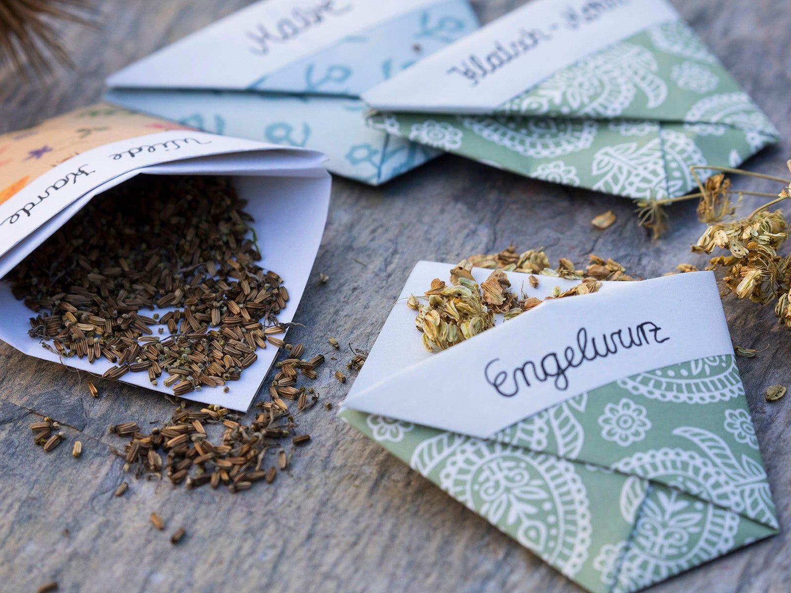 5 Creative Ways To Use Leftover Seed Don't Throw It Away! Gardening