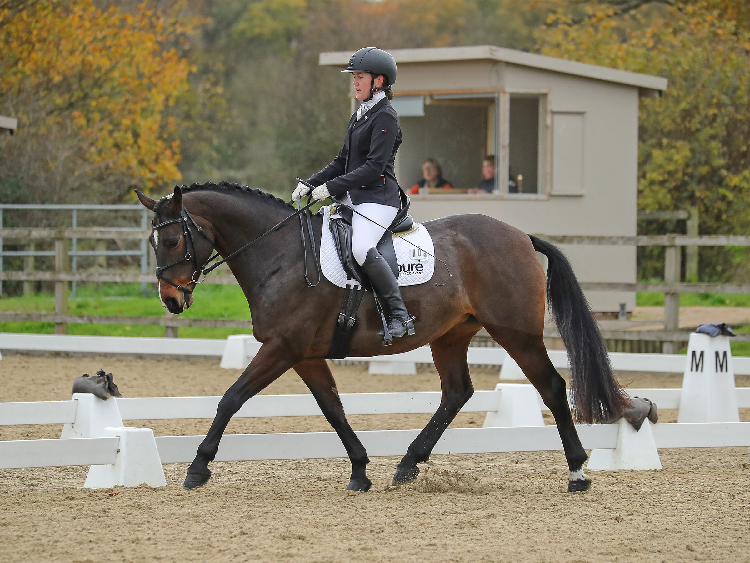 Sophie Cheeseman