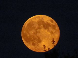August 2014 Supermoon Over Frosty Drew Observatory, Rhode Island