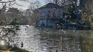 Honor Magic V2 sample photo showing pigeons in flight in front of stone boathouse and lake