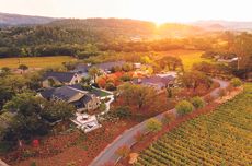 Trinchero Estate, an Italian-style California producer