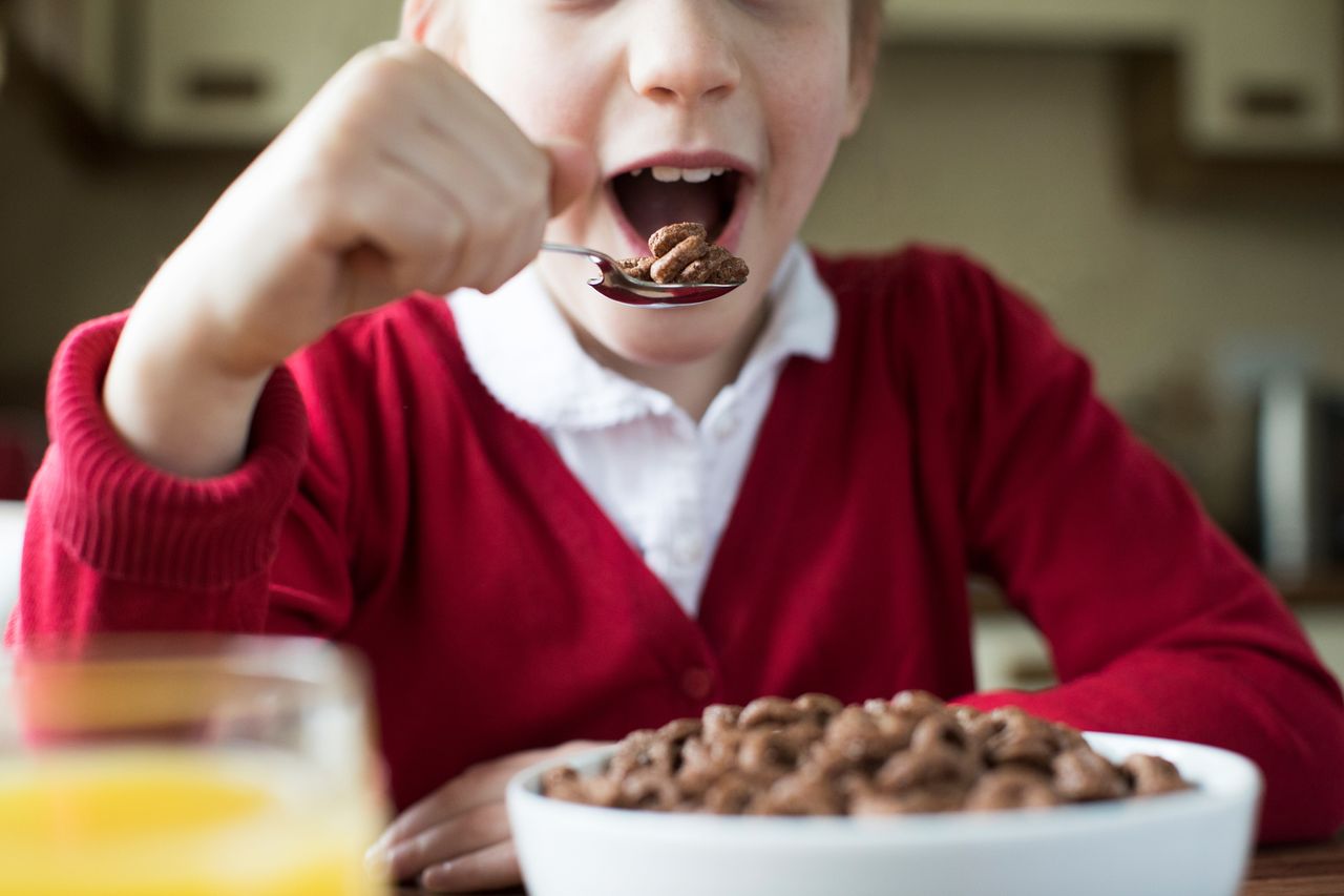 Child in school uniform eating ultra-processed chocolate breakfast cereal