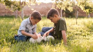 Two boys with rabbits