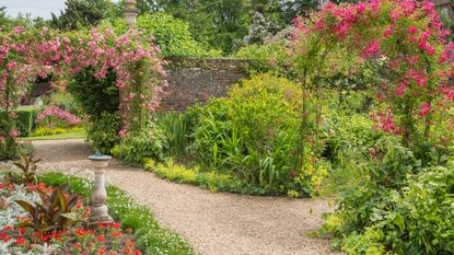 Victorian garden design in July at Peckover House & Garden National Trust 