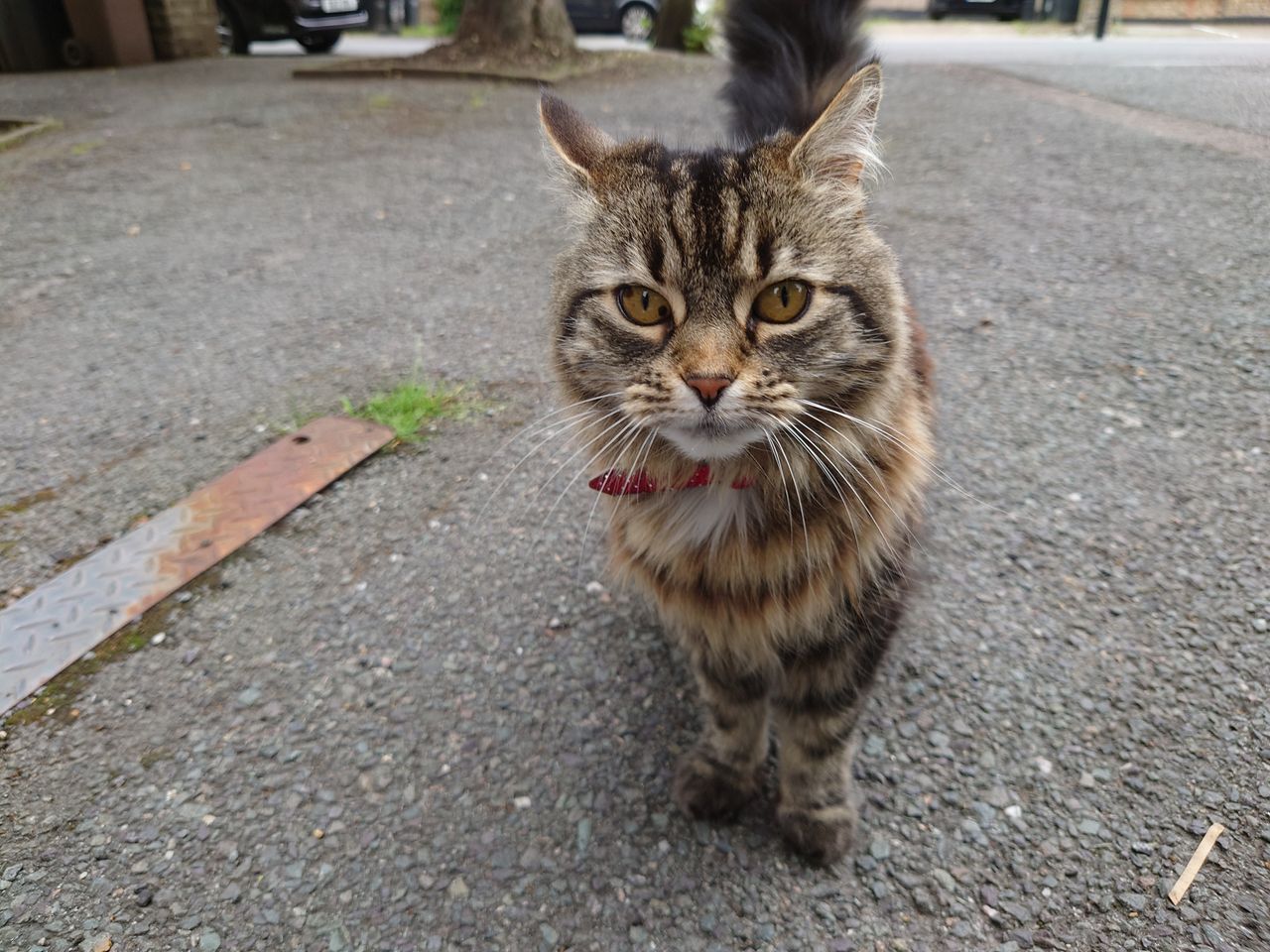 Sony Xperia 1 III camera